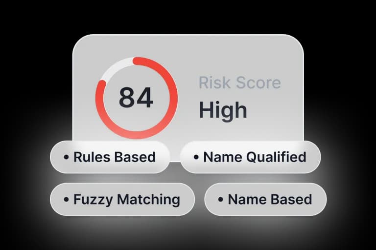 AML potential-match scoring interface